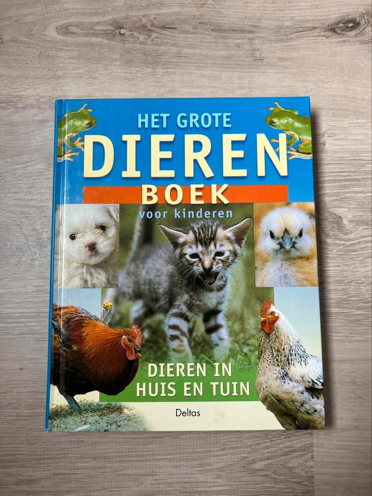 Het grote dierenboek voor kinderen, Boeken, Kinderboeken | Jeugd | onder 10 jaar, Ophalen of Verzenden