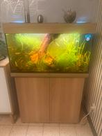 2 aquarium juwel 120l, Animaux & Accessoires, Enlèvement ou Envoi, Comme neuf
