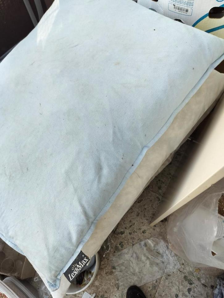 Lex en Max hondenkussen, Dieren en Toebehoren, Hondenmanden, Zo goed als nieuw, Katoen, Ophalen