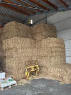 Kwalitatief hooi te koop 120x70x200, Ophalen