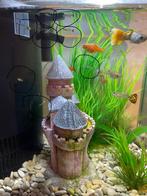 5 baby guppy’s te geef, Dieren en Toebehoren, Vis, Zoetwatervis