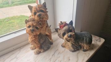 2 beelden yorshire  beschikbaar voor biedingen