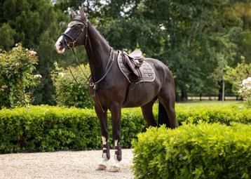 LeMieux Loire CC spring dekje Walnut SALE -35% !! beschikbaar voor biedingen