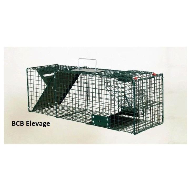 Ongediertebestrijding: muskusrattenval, Jardin & Terrasse, Pesticides, Neuf, Lutte antiparasitaire, Enlèvement ou Envoi