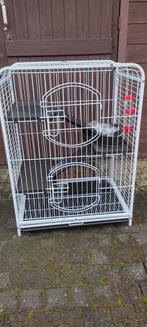 Cage : lapin, hamster, etc. NOUVEAU, Comme neuf, 60 à 90 cm, Lapin, Cage