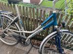 Damesfiets Union, Ophalen, Gebruikt, Meer dan 20 versnellingen, Overige merken