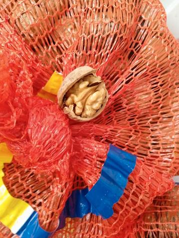 Noix fraîche récolte 2025  beschikbaar voor biedingen