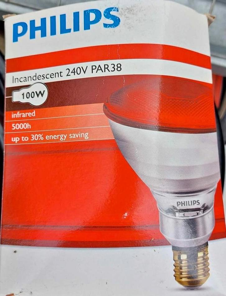 ‼️NIEUW‼️ Phillips warmtelamp, Dieren en Toebehoren, Pluimvee | Toebehoren, Nieuw, Ophalen of Verzenden