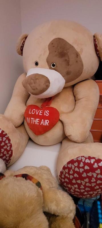 Grote knuffelbeer "love is in the air" beschikbaar voor biedingen