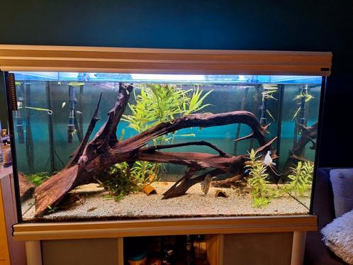 Aquarium aqualantis 450l, Dieren en Toebehoren, Vissen | Aquaria en Toebehoren, Zo goed als nieuw, Ophalen