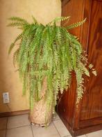 planten staander (zuil bekleed met kurk), Huis en Inrichting, Woonaccessoires | Zuilen en Pilaren, Ophalen