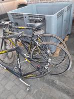Delira koers fietsen, Fietsen en Brommers, Ophalen, Zo goed als nieuw