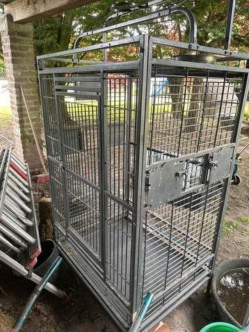 Cage  perroquets a vendre beschikbaar voor biedingen