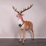 Reindeer for Santa’s Sleigh – Rendier Hoogte 218 cm, Ophalen, Nieuw