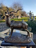 ANTILOPE (The Great Kudu) IN BRONS GESIGNEERD OP EEN SOKKEL, Antiek en Kunst, Ophalen of Verzenden, Brons