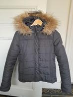 Jas met kap van het merk Lola&Liza in perfecte staat!, Vêtements | Femmes, Vestes | Hiver, Enlèvement ou Envoi, Gris