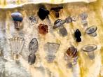 Bouchons vintage de carafe en cristal, Enlèvement ou Envoi