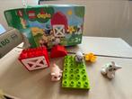 LEGO Duplo 10949 - boerderijdieren, Ophalen of Verzenden, Gebruikt, Duplo