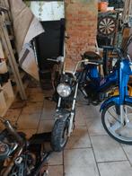 dax b klasse, Ophalen