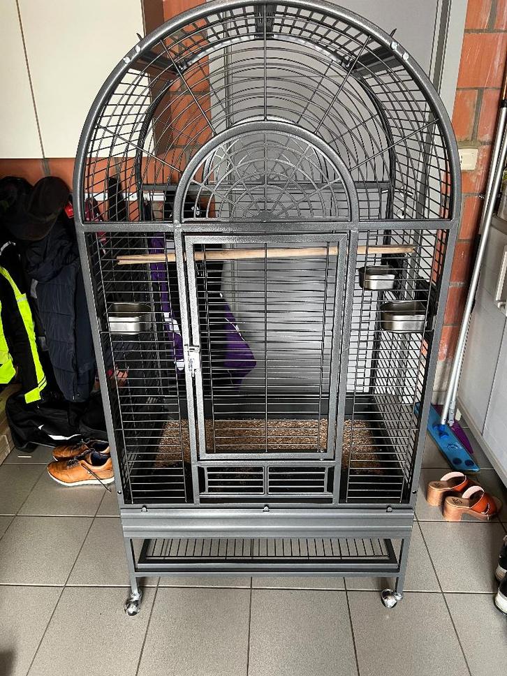 Splinternieuwe vogelkooi te koop, Dieren en Toebehoren, Vogels | Hokken en Kooien, Nieuw, Vogelkooi, Ophalen of Verzenden