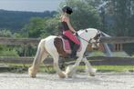 Ponette de 5 ans, Animaux & Accessoires, Chevaux, L