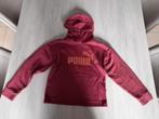 Bordeauxe hoedie Puma 152, Kinderen en Baby's, Kinderkleding | Maat 152, Meisje, Trui of Vest, Puma, Ophalen of Verzenden