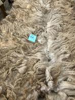 Racka wol, Dieren en Toebehoren, Schapen, Geiten en Varkens, Meerdere dieren, Schaap