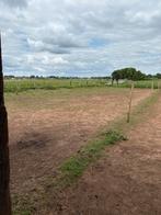 3 plekjes vrij op weide te stabroek, Weidegang, 2 of 3 paarden of pony's