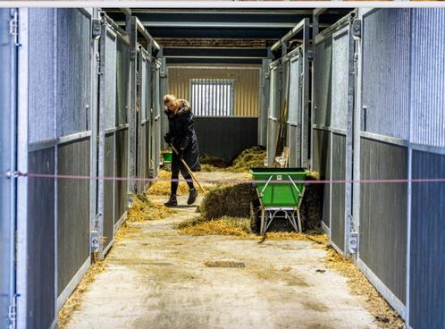 Drachtigemerrie stalling, Dieren en Toebehoren, Stalling en Weidegang, Stalling, 4 paarden of pony's of meer