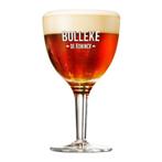 40 Bollekes De Koninck glazen, Ophalen of Verzenden, Zo goed als nieuw, Bierglas
