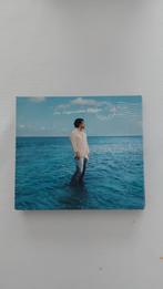 Laurent Voulzy / la septième vaque ltd edition, Cd's en Dvd's, Cd's | Franstalig, Ophalen of Verzenden