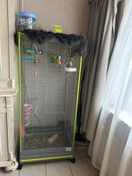 Vogelkooi met inhoud voor €60, Dieren en Toebehoren, Ophalen, Zo goed als nieuw, Vogelkooi