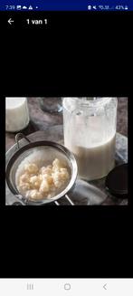 40grs Melk Kefir.  5€, Ophalen
