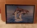 Cadre avec affiche de dauphins, Maison & Meubles, Métal ou Aluminium, 75 à 100 cm, Enlèvement, Utilisé