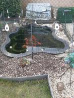 Complete vijver met vissen en toebehoren, Tuin en Terras, Ophalen, Gebruikt