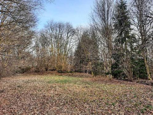 Maison à vendre à Saint-Hubert, Immo, Huizen en Appartementen te koop, Vrijstaande woning