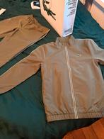Tracksuit lacoste, Ophalen, Zo goed als nieuw