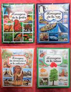 4 livres imagerie - Mer, forêt, Dino & Préhistoire, Nature, Ophalen, Gelezen, Jongen of Meisje, Non-fictie