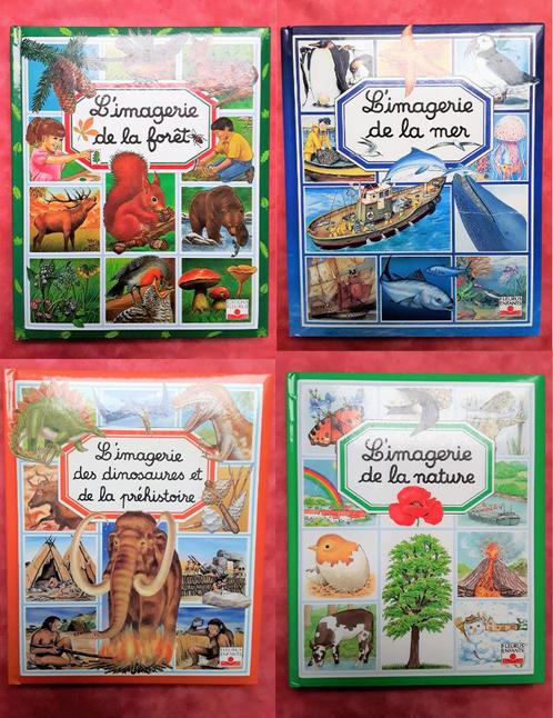 4 livres imagerie - Mer, forêt, Dino & Préhistoire, Nature, Boeken, Kinderboeken | Kleuters, Gelezen, Non-fictie, Jongen of Meisje