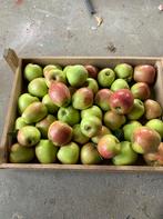 Bio appels Trezeke Meyer lekkere eet en keukenappels, Tuin en Terras, Planten | Fruitbomen, Ophalen