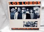 Los Lobos: By the light of the moon (1987), Ophalen of Verzenden