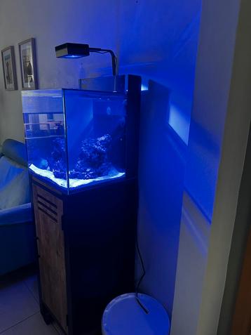 Red Sea Max Nano met Designkast beschikbaar voor biedingen