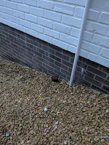 550 liter stookolie beschikbaar voor biedingen