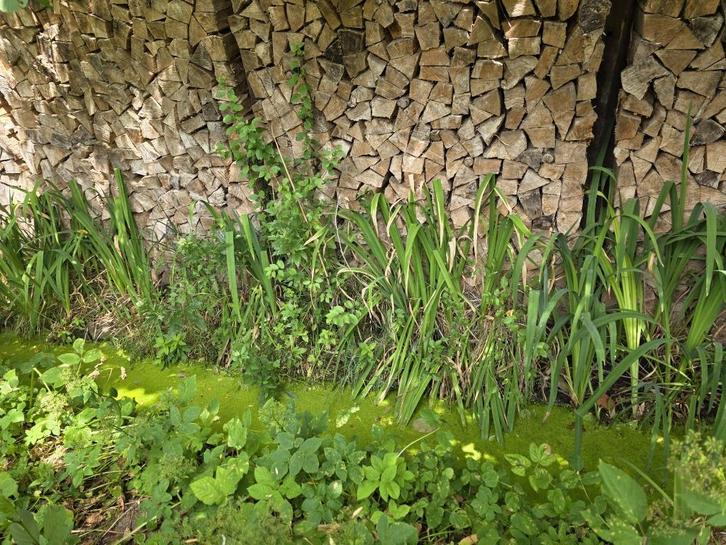 Droog hout, Tuin en Terras, Brandhout, Blokken, Eikenhout, Minder dan 3 m³, Ophalen of Verzenden