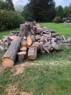 bois de chauffe..., 6 m³ of meer, Ophalen, Overige houtsoorten, Stammen