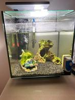 Aquarium 30L, Animaux & Accessoires, Poissons | Aquariums & Accessoires, Enlèvement