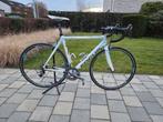 Koersfiets wit Focus Cayo carbon M56, Ophalen, Carbon