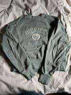 Dickies trui, Kleding | Dames, Ophalen of Verzenden, Zo goed als nieuw, Maat 38/40 (M)
