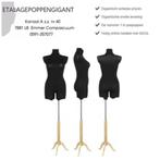 Torso M/V Modellen Model 3/4 Etalagepoppengigant, Kleding | Dames, Trouwkleding en Trouwaccessoires, Ophalen of Verzenden, Nieuw