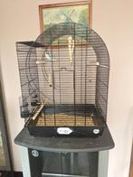 Dwergpapegaai met kooi, Dieren en Toebehoren, Ophalen, Zo goed als nieuw